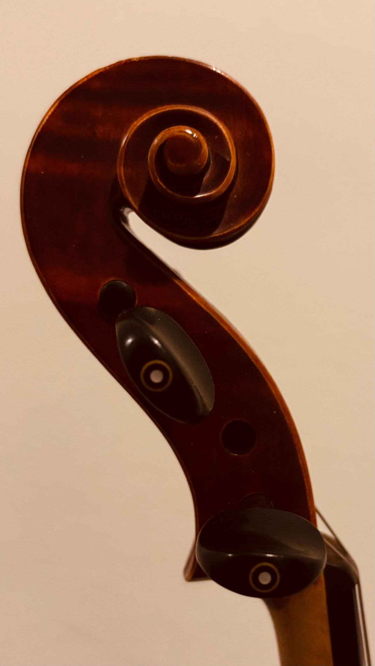 Intermediate Professional Violin 4/4 - August F. Kohr