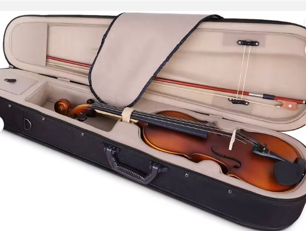 Student Rental Model Violin (various models) - with LDW