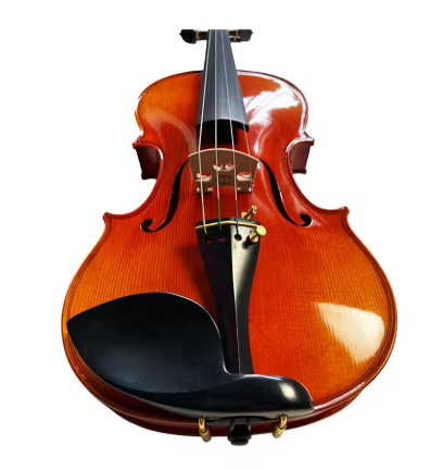 Step - Up Professional Violin 4/4 - MAVA07