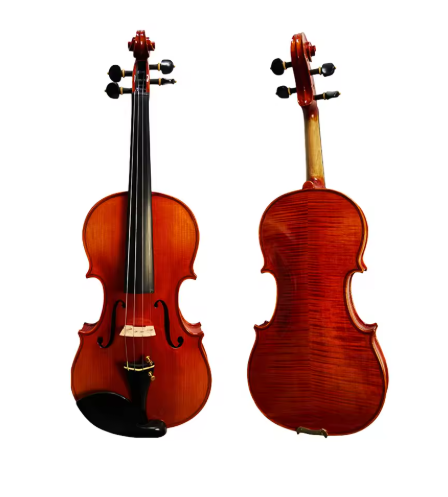 Step - Up Professional Violin 4/4 - MAVA07