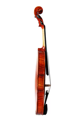 Step - Up Professional Violin 4/4 - MAVA07