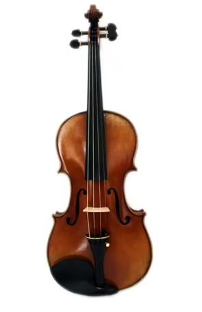 Step-up Professional Viola 16"- MAVA08