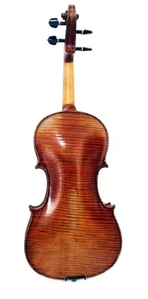 Step-up Professional Viola 16"- MAVA08