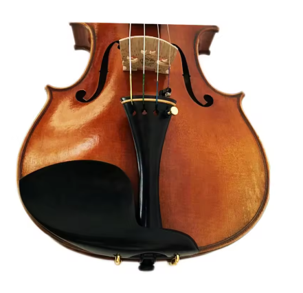 Step-up Professional Viola 16"- MAVA08