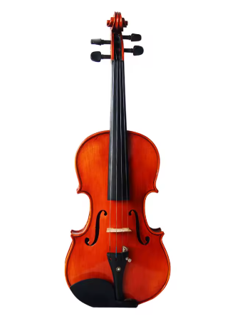 Step - Up Professional Violin 4/4 - JYV07