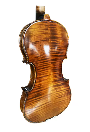 Step-up Professional Viola 16"- MAVA08