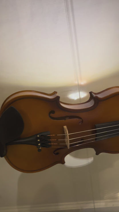 Step - Up Professional Violin 4/4 - MAVA07