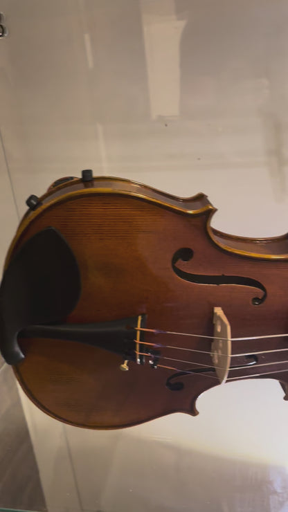 Step-up Professional Viola 16"- MAVA08